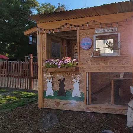 Rustic, Country Farmstay With Friendly Animals Close To Wineries And Hiking